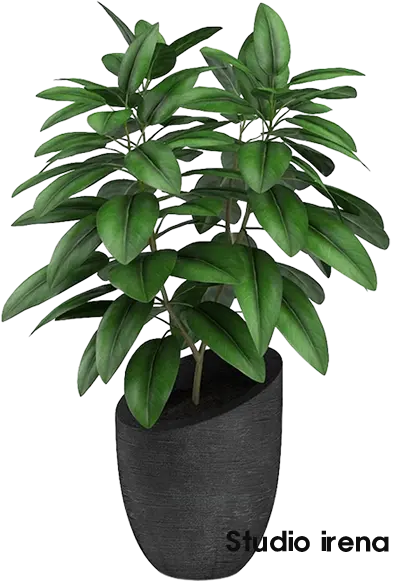 포스팅용 이미지